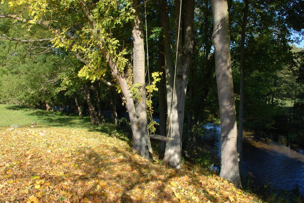 Natura Apartamenty Swaderki Екстер'єр фото